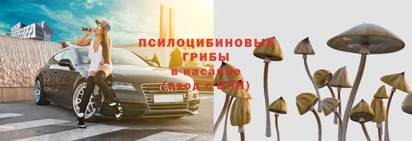 мдпв Богородицк