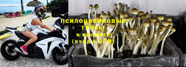 мдпв Богородицк