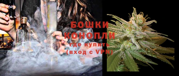 мдпв Богородицк