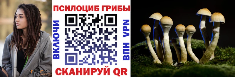 Псилоцибиновые грибы Magic Shrooms  Нелидово 
